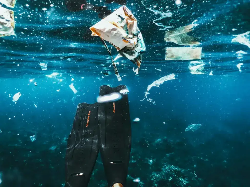 Researcher editing a document on ocean pollution
