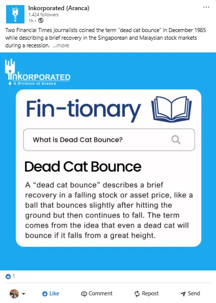 LinkedIn Post – Dead Cat Bounce