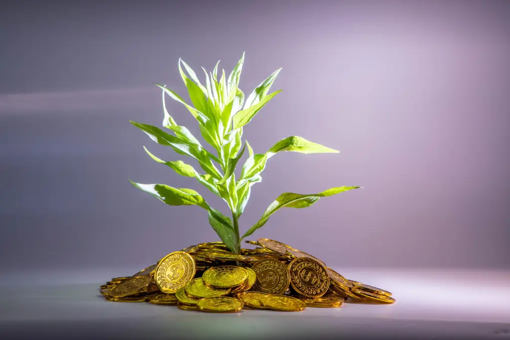 ESG reporting concept depicting sustainability growth and financial value